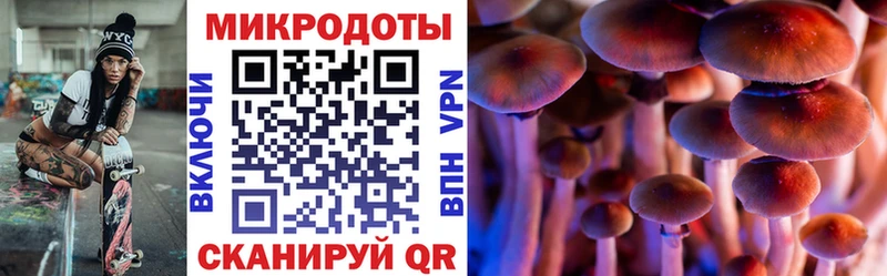 сколько стоит Егорьевск Псилоцибиновые грибы Psilocybine cubensis