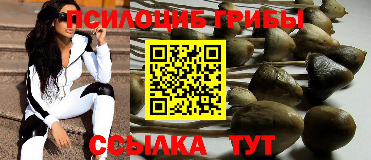Галлюциногенные грибы GOLDEN TEACHER Егорьевск
