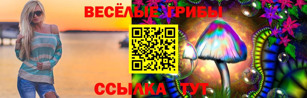 Егорьевск  Псилоцибиновые грибы Psilocybine cubensis  Вход с VPN 